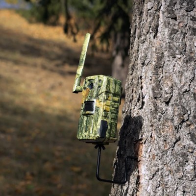 Cámara de fototrampeo PNI Hunting 250C 4G LTE con visión nocturna colocada en un arbol